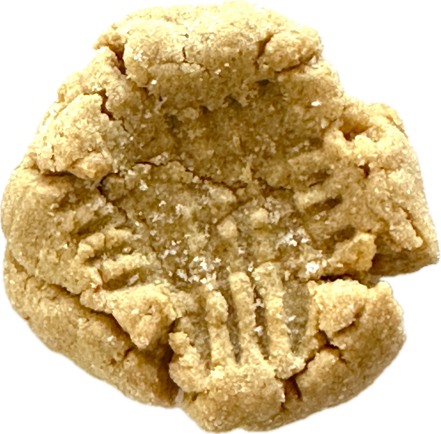 Peanut Butter Cookie