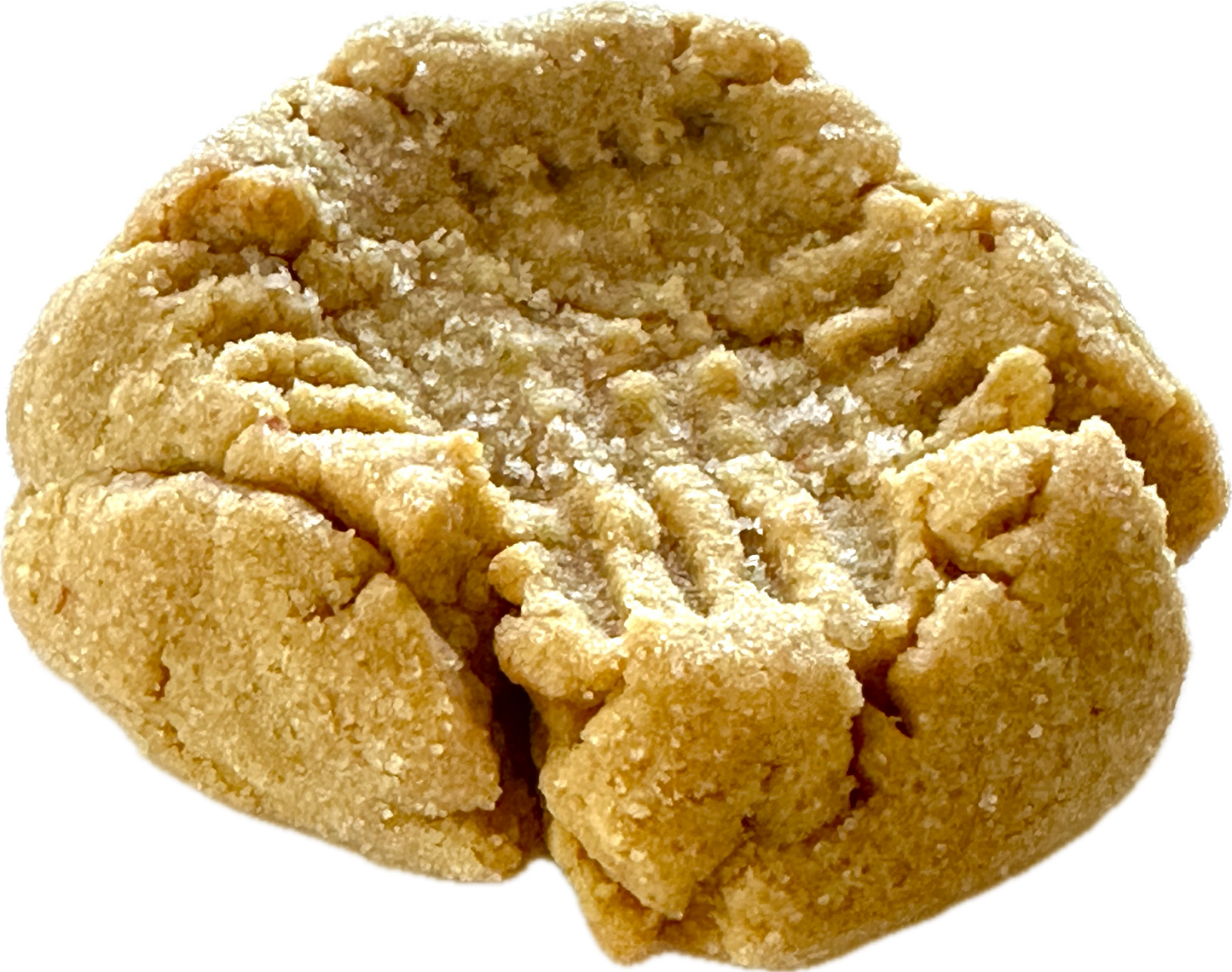 Peanut Butter Cookie