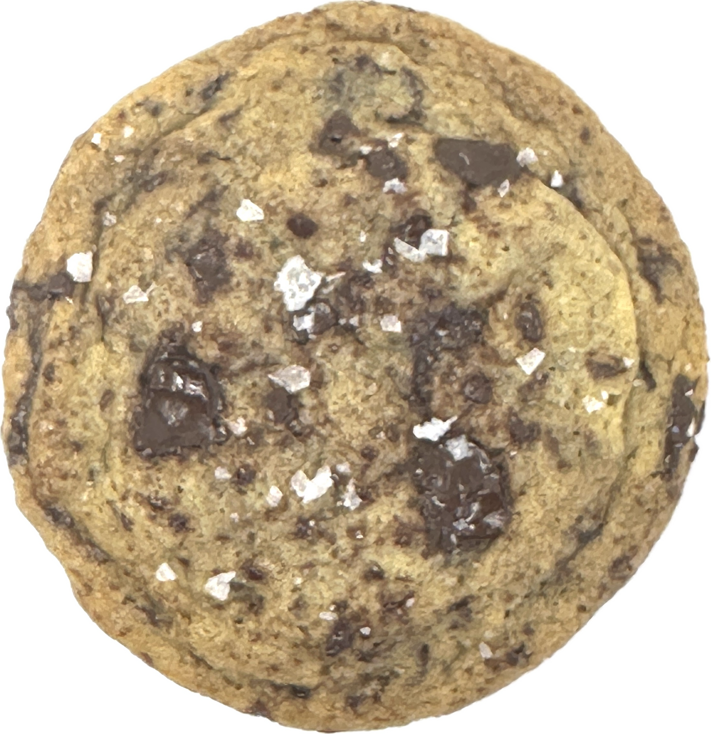 Sea Salt Chocolate Chunk Cookie
